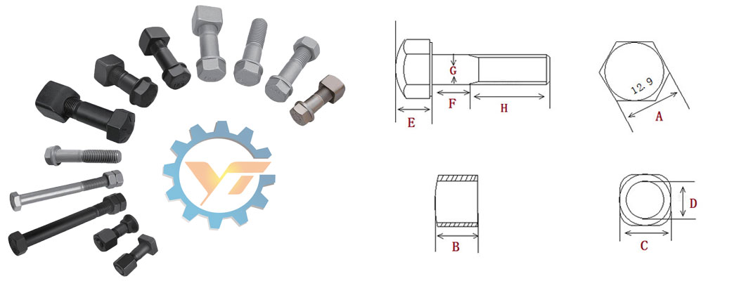 Bolt and Nut Structure
